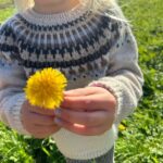 Breipakket PetiteKnit - Celeste Sweater JUNIOR -  Peer Gynt