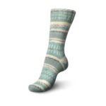 Regia 6 ply Color - sokkenwol