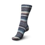 Regia 6 ply Color - sokkenwol
