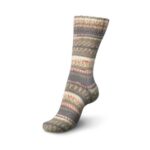 Regia 6 ply Color - sokkenwol
