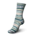Regia 6 ply Color - sokkenwol