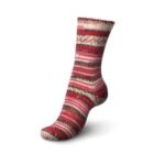 Regia 6 ply Color - sokkenwol