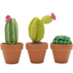 Haakpakket Hardicraft - CACTUS