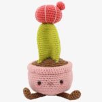 Haakpakket Hardicraft - CACTUS
