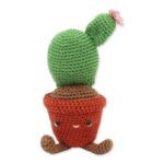 Haakpakket Hardicraft - CACTUS